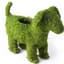 SuperMoss Puppy Planter — thumbnail 1 of 2