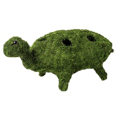 SuperMoss Turtle Planter — photo 1 of 2