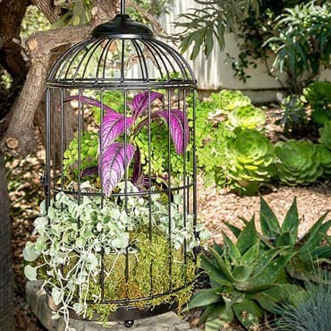 SuperMoss BH Bird Cage — photo 1 of 2
