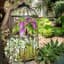 SuperMoss BH Bird Cage — thumbnail 1 of 2