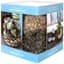 SuperMoss Kokedama Kit Suculnt 6" — thumbnail 1 of 2