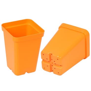 SunPack 2.5" Square Pot, Orange — photo 1 of 2