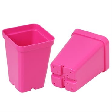 SunPack 2.5" Square Pot, Magenta — photo 1 of 2