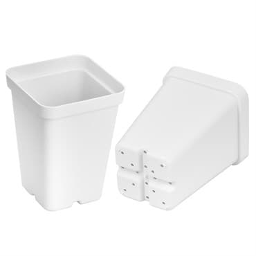 SunPack 2.5" Square Pot, White — photo 1 of 2