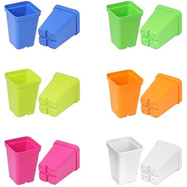 SunPack 6pk 2.5" Square Pot Mixed Color — photo 1 of 2