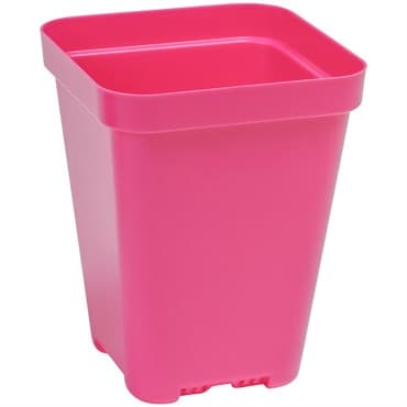 Sunpack 3.3" Heavy Duty Seed Starting Pots Square Magenta — photo 1 of 2