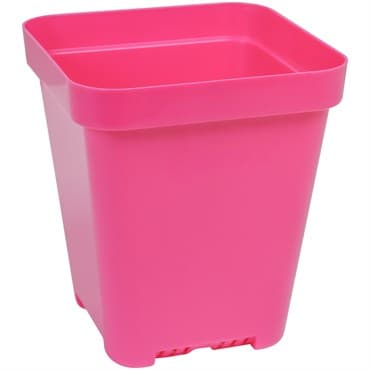 Sunpack 5" Heavy Duty Seed Starting Pot Square Magenta — photo 1 of 2