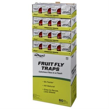 Rescue 96pc Fruit Fly 2Pk Trap & Refill Display — photo 1 of 2
