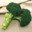 BROCCOLI, GREEN MAGIC 100M PERFORMAX TREATED — thumbnail 1 of 2