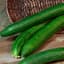 Cucumber, Tasty Green/ Burpless #26 100 Seed Count — thumbnail 1 of 2