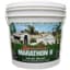 Marathon II Grass Seed 5# — thumbnail 1 of 2