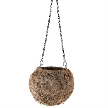 SSI 6" Sphagnum Kokedama Blonde Moss — photo 1 of 2