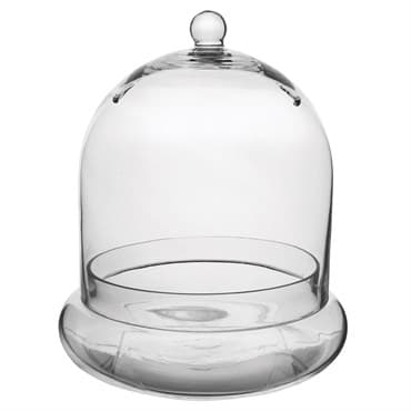 SSI 10" x 11 3/8" Terrarium Cloche — photo 1 of 2