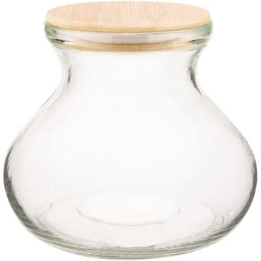 SSI 6" Vase Terrarium with Lid & Light — photo 1 of 2