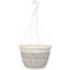 Grower Select 12in Tampa Hanging Basket Eggnog, Includes Cap Dish and Plastic Hanger, 36 per Case, .62 Gallon — thumbnail 1 of 2