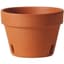 Southern Patio 6" Orchid Clay Pot — thumbnail 1 of 2