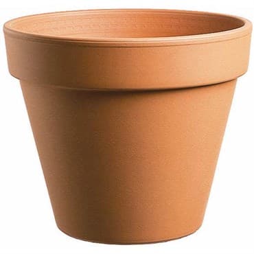 Southern Patio 10" Standard Clay Pot — photo 1 of 2