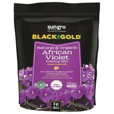 Black Gold African Violet Mix 8qt (240/PL) — photo 1 of 2