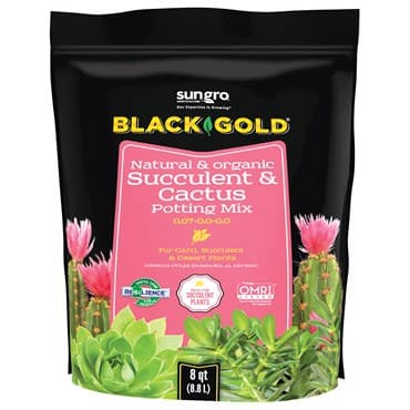 Black Gold Cactus Mix 8qt (240) (4/CS) — photo 1 of 2