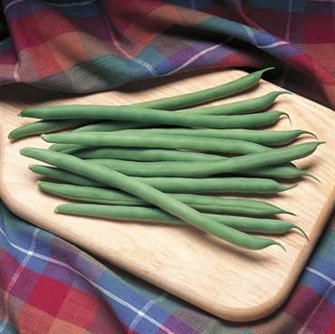 Beans, Kentucky Blue Pole 1/2lb — photo 1 of 2