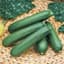 Squash, Payroll Farmore Treated 100 Seed Count — thumbnail 1 of 2