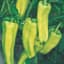 Peppers, Aruba Cubanelle 100 Seed Count — thumbnail 1 of 2