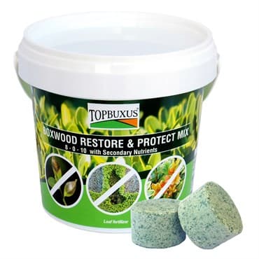 TOPBUXUS 10ct Tabs Green Bucket Boxwood Restore & Protect Mix — photo 1 of 2