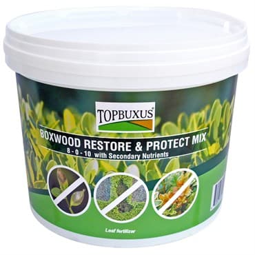 TOPBUXUS 100ct Tabs Green Bucket Boxwood Restore & Protect Mix — photo 1 of 2