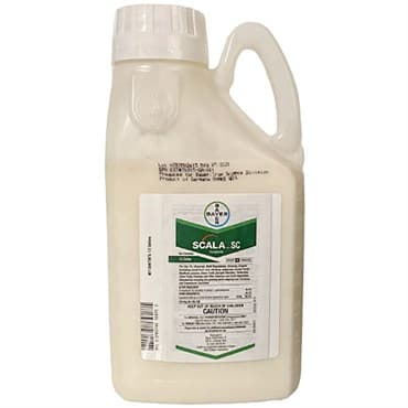 Bayer Scala SC 0.5Gl (8/CS) ( Pyrimethanil ) — photo 1 of 2