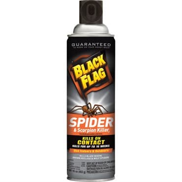 Black Flag 16oz Spider Scorpion Aerosol — photo 1 of 2