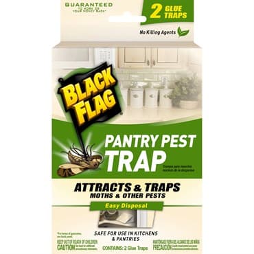 Black Flag Pantry Pest — photo 1 of 2