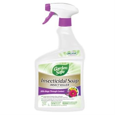 Garden Safe 32oz RTU Insect Insecticidal Soap — photo 1 of 2