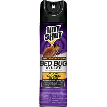 Hot Shot 17.5oz Bed Bug Killer Aerosol Spray — photo 1 of 2