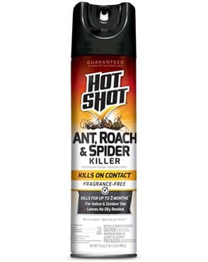 Hot Shot 17.5oz Ant Roach Spider Unscented — photo 1 of 2