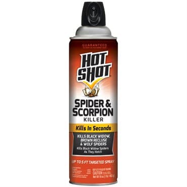 Hot Shot 16oz Spider & Scorpion Aerosol — photo 1 of 2