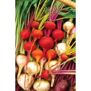 Beets, White Detroit 1/2oz — photo 1 of 2