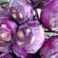 Kohlrabi, Purple Vienna 1/2oz — thumbnail 1 of 2