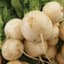 Turnips, Golden Ball - 1/2oz — thumbnail 1 of 2