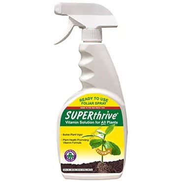 Vitamin Institute 23oz Superthrive RTU (6/CS) — photo 1 of 2