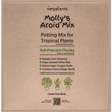 Molly's 1cf Aroid Mix — photo 1 of 2