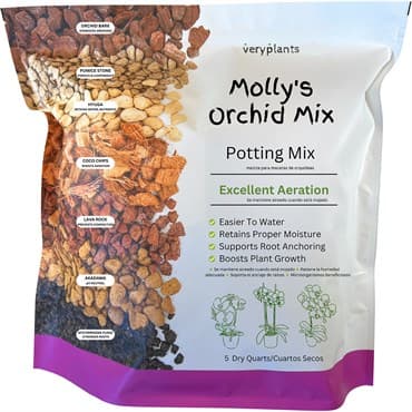 Molly's 5qt Orchid Mix — photo 1 of 2