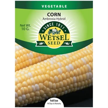 Corn, Ambrosia 10 Grams — photo 1 of 2