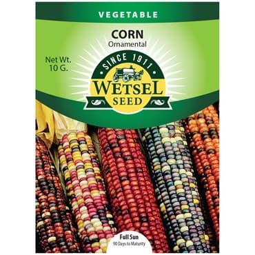 Corn, Ornamental 10 Grams — photo 1 of 2