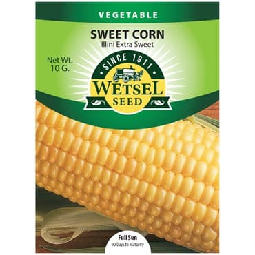 Corn, Illini Xtra Sweet 10 Grams — photo 1 of 2