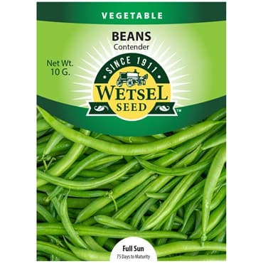 Beans, Contender 10 Grams — photo 1 of 2