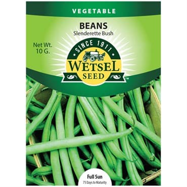 Beans, Slenderette Bush 10 Grams — photo 1 of 2
