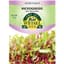 Microgreens, Bull's Blood Beet 2 Grams — thumbnail 1 of 2