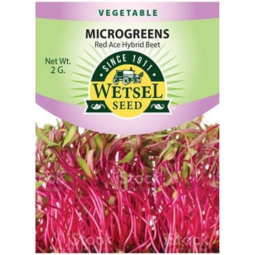 Microgreens, Red Ace Hybrid Beet 2 Grams — photo 1 of 2