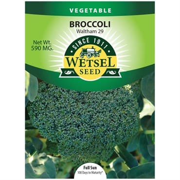Broccoli, Waltham 590mg — photo 1 of 2