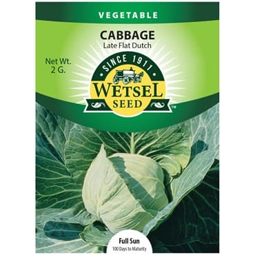 Cabbage, Premium Late Flat Dutch 2 Grams — photo 1 of 2